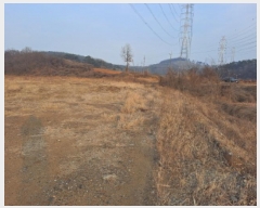  2024Ÿ��5351 �泲 ������ �۾��� ���븮 44-7      ����(����)���