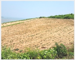  2024Ÿ��55721 �泲 �¾ȱ� ������ ������ 914      ����(�Ӿ�)���