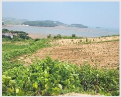  2024Ÿ��55721 �泲 �¾ȱ� ������ ������ 914      ����(�Ӿ�)���