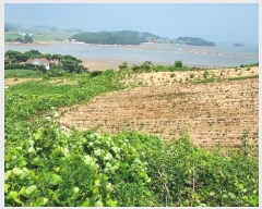  2024Ÿ��55721 �泲 �¾ȱ� ������ ������ 914      ����(�Ӿ�)���