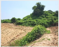  2024Ÿ��55721 �泲 �¾ȱ� ������ ������ 914      ����(�Ӿ�)���