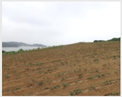  2024Ÿ��55721 �泲 �¾ȱ� ������ ������ 914      ����(�Ӿ�)���