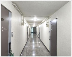  2024Ÿ57215 泲  1 15-16, ̵ 6603ȣ (,õ̰Ʈ)    Ȱð