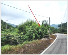  2024Ÿ��57413 �泲 ����� ���� ���긮 333-3      ����(����)���