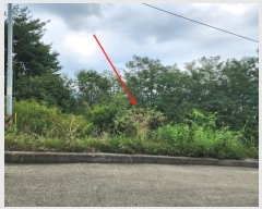  2024Ÿ��57413 �泲 ����� ���� ���긮 333-3      ����(����)���