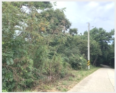  2024Ÿ��57420 �泲 �¾ȱ� ���� ��û�� 97-1      ����(�Ӿ�)���