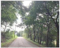  2024Ÿ��57420 �泲 �¾ȱ� ���� ��û�� 97-1      ����(�Ӿ�)���