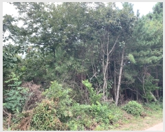  2024Ÿ��57420 �泲 �¾ȱ� ���� ��û�� 97-1      ����(�Ӿ�)���