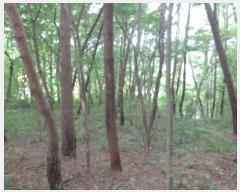  2024Ÿ��57420 �泲 �¾ȱ� ���� ��û�� 97-1      ����(�Ӿ�)���