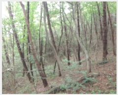  2024Ÿ��57420 �泲 �¾ȱ� ���� ��û�� 97-1      ����(�Ӿ�)���