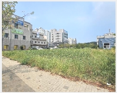  2024Ÿ57987 泲  ۻ  1077      ()