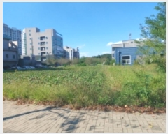  2024Ÿ57987 泲  ۻ  1077      ()