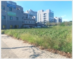  2024Ÿ57987 泲  ۻ  1077      ()