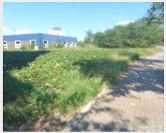  2024Ÿ57987 泲  ۻ  1077      ()