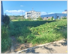  2024Ÿ57987 泲  ۻ  1077      ()