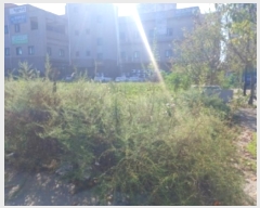  2024Ÿ57987 泲  ۻ  1077      ()