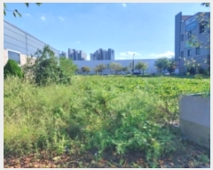  2024Ÿ57987 泲  ۻ  1077      ()