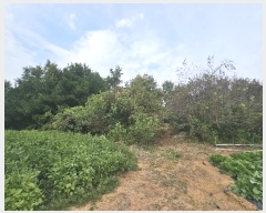  2024Ÿ��58485  �Ӿ߰��