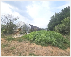  2024Ÿ��58485  �Ӿ߰��