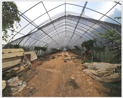  2024Ÿ��58485  �Ӿ߰��