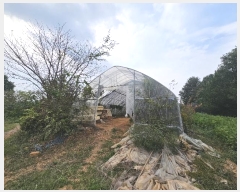  2024Ÿ��58485  �Ӿ߰��