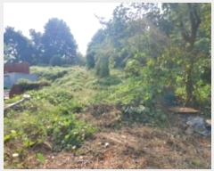  2024Ÿ��58485  �Ӿ߰��