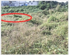  2024Ÿ58768 泲  ۾ õ 156-1      (1)