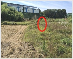  2024Ÿ58768 泲  ۾ õ 156-1      (1)