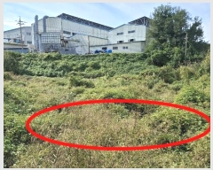  2024Ÿ58768 泲  ۾ õ 156-1      (1)