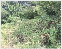  2024Ÿ58768 泲  ۾ õ 156-1      (1)