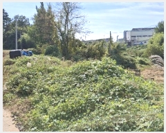  2024Ÿ58768 泲  ۾ õ 156-1      (1)