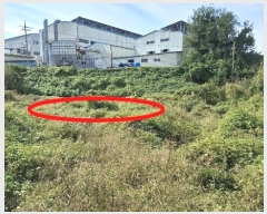  2024Ÿ58768 泲  ۾ õ 156-1      (1)