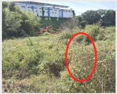  2024Ÿ58768 泲  ۾ õ 156-1      (1)