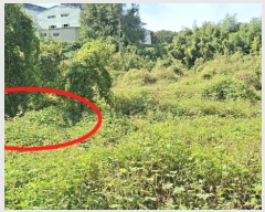  2024Ÿ58768 泲  ۾ õ 156-1      (1)