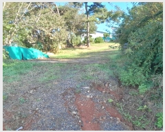  2024Ÿ59372 泲    348-9      (Ӿ)