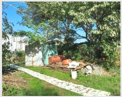  2024Ÿ59372 泲    348-9      (Ӿ)