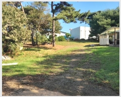  2024Ÿ59372 泲    348-9      (Ӿ)