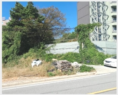  2024Ÿ59372 泲    348-9      (Ӿ)