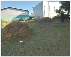  2024Ÿ59372 泲    348-9      (Ӿ)