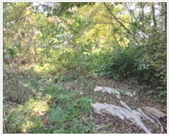  2024Ÿ59372 泲    348-9      (Ӿ)