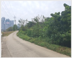  2024Ÿ59686 泲   ߹渮 409      (1)