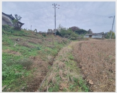  2024Ÿ59686 泲   ߹渮 409      (1)