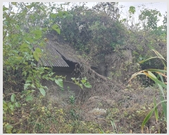  2024Ÿ59686 泲   ߹渮 409      (1)