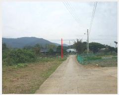  2024Ÿ59686 泲   ߹渮 409      (1)