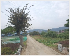  2024Ÿ59686 泲   ߹渮 409      (1)