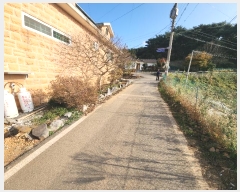  2024Ÿ��59792  ���ð��