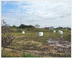  2024Ÿ��59860 �泲 ������ ������ ���Ҹ� 23-1      ����(�Ӿ�)���