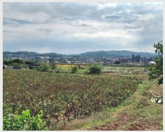  2024Ÿ��59860 �泲 ������ ������ ���Ҹ� 23-1      ����(�Ӿ�)���