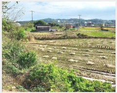  2024Ÿ��59860 �泲 ������ ������ ���Ҹ� 23-1      ����(�Ӿ�)���