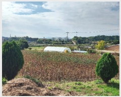  2024Ÿ��59860 �泲 ������ ������ ���Ҹ� 23-1      ����(�Ӿ�)���